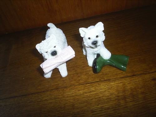 Leonardo westies west - leonardo,