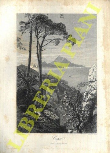 Prints campania fenn - -,