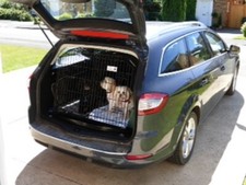 PET WORLD FORD | Mondeo Estate