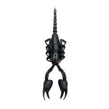 Real A1 Taxidermy Scorpion