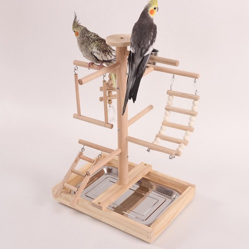 Pet parrot playstand wooden - pet,