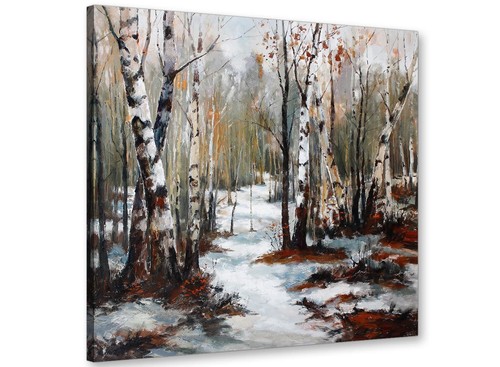 Woodland winter trees forest - winter,