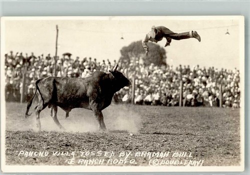 13977038 ranch rodeo pancho - -,