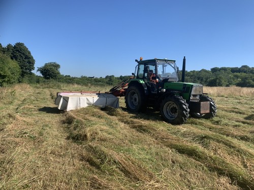 Excellent quality meadow hay