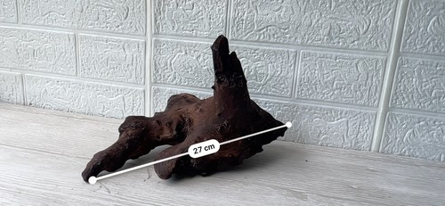 Bogwood driftwood fish - fish, tank