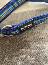 Adjustable Striped Dog Collar From Reddingo
