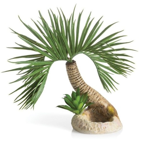 Biorb seychelles palm tree - biorb,
