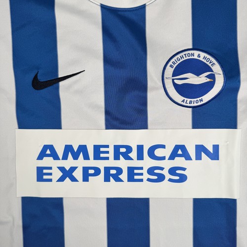 Brighton hove albion - brighton, &