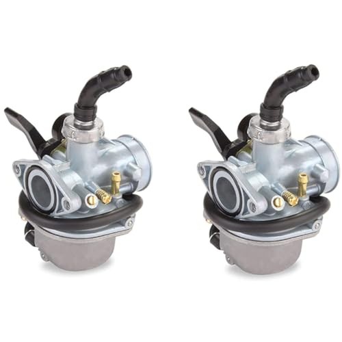 Pz19 carburetor for taotao - for,