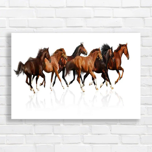 Galloping herd horses - herd, of