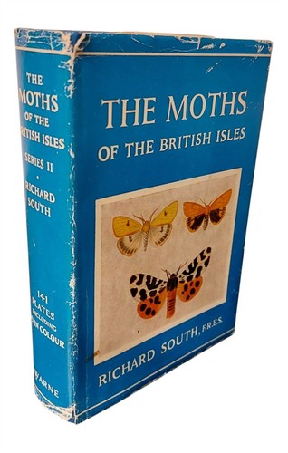 The moths - the, of