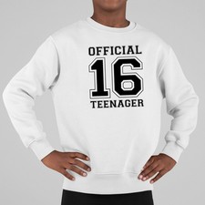 Official Teenager 16th