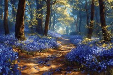 BLUEBELL WOODLAND CANVAS PICTURE PRINT WALL ART