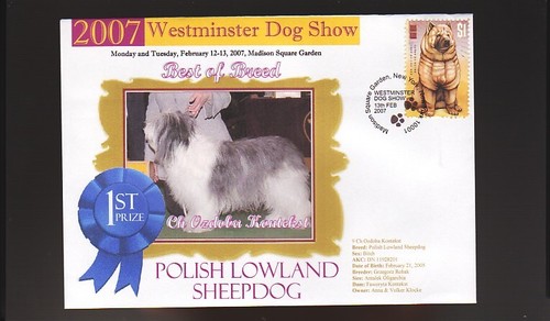 2007 dog show - dog, of