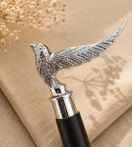 Bird head walking - bird, cane