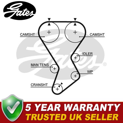 Gates timing belt - timing, proton