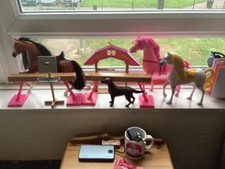 Barbie Horse And Gym Bars