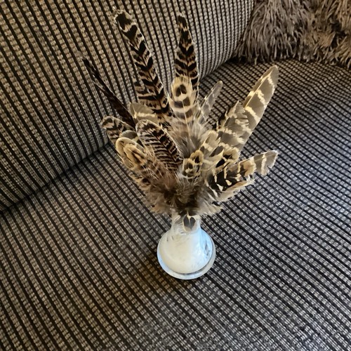 Pheasant feathers small - small, vase