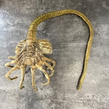 Alien Xenomorph Face Hugger