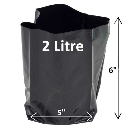 Litre poly plant pots - plant, grow