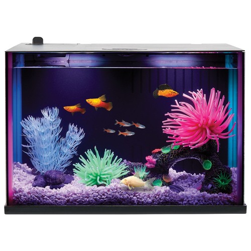 Top fin custom colorflow - custom,