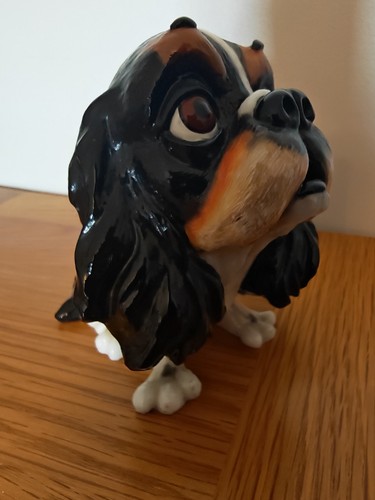 Cavalier king charles spaniel - cavalier,