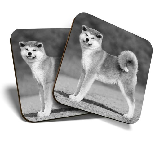 Coasters akita inu - 2,