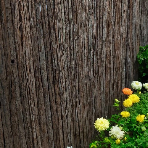 Premium bark fencing screening - fencing,