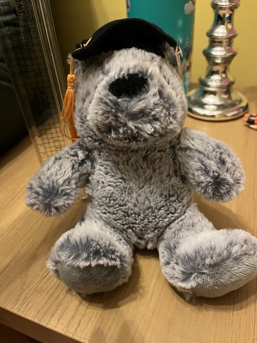 Graduation teddy bear new - graduation, bear,