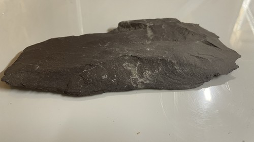 Fish tank aquarium slate - fish,