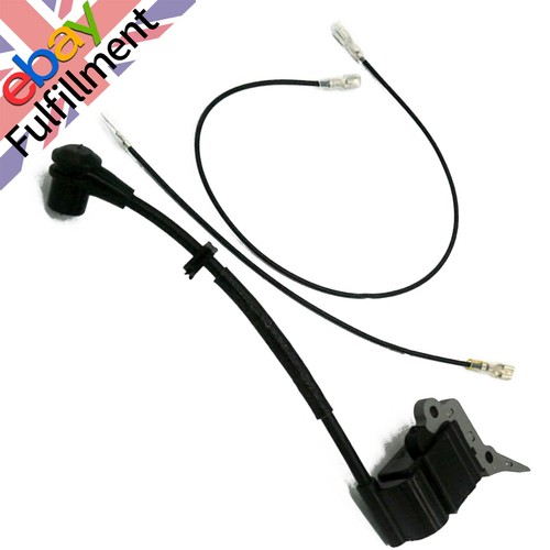 New ignition coil - coil, module