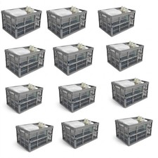 32L Folding Collapsible