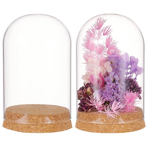 Glass display dome 8x11 5cm - display,