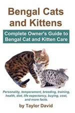 David - Bengal Cats and