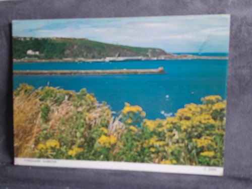 Fishguard cards 33825 - cards,
