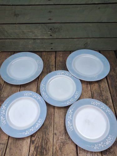 Pyrex blue hawthorn - hawthorn, 2x