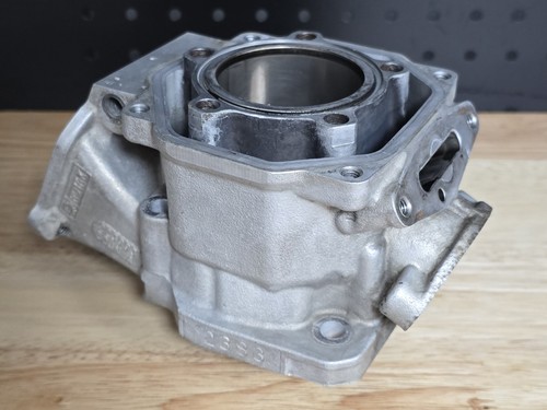 Rotax max senior - evo, cylinder-
