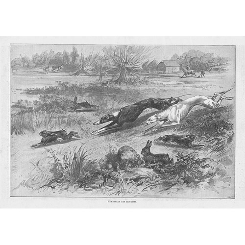 Coursing embarras des - l'embarras,