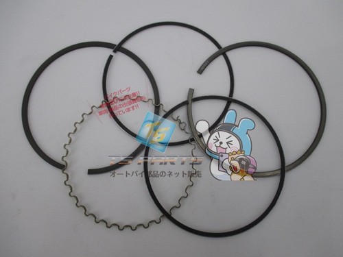 Tt500 piston rings - rings,