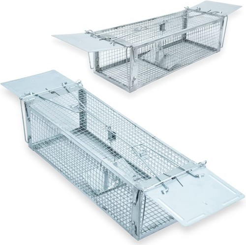 Rat trap squirrel door mouse - rat, 2