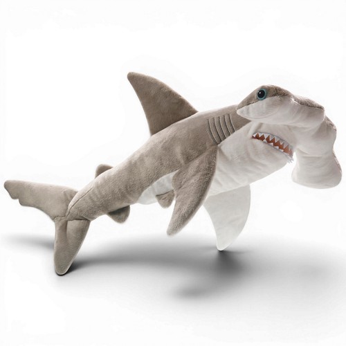Carl dick hammerhead shark - hammerhead,