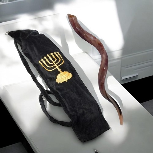 Shofar large kudu yemenite - shofar,