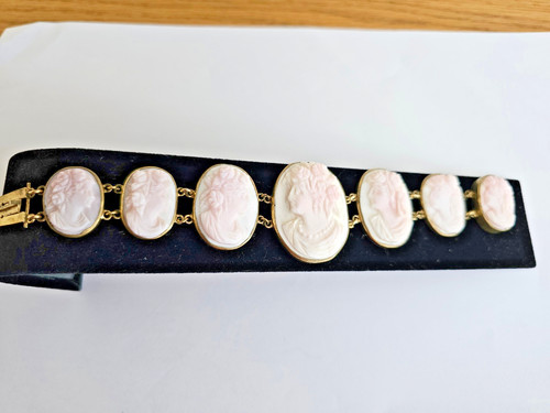 Antique conch shell - , cameo