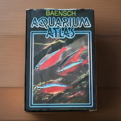 1987 1st english - 1st,