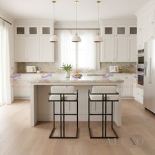 Luxury zebra modern - luxury,