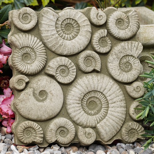Fossil wall stone statue - stone,