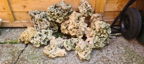 Aquarium ocean rock - aquarium,