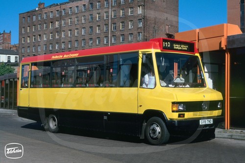 Bus photo the bee - photo, buzz