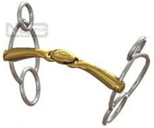 Neue schule turtle - schule, with