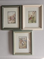 Vintage Flower Fairies Print & Mount The Fairies Cicely Mary Barker c1930's 